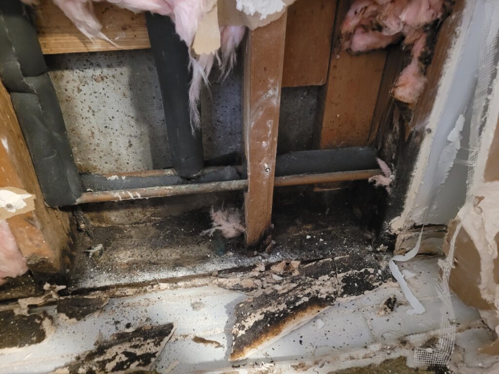 Daños por filtraciones en duchas y baños en Florida detrás de una pared